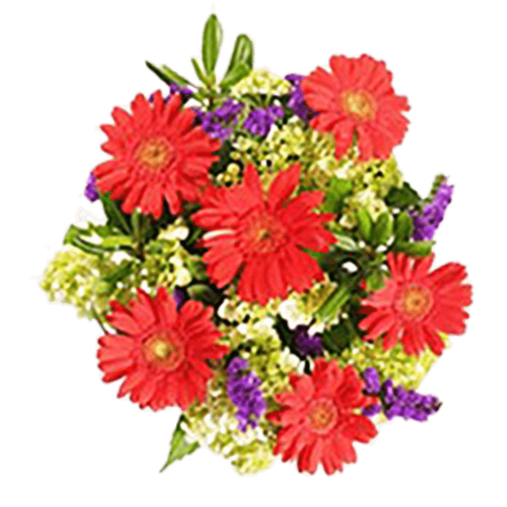 Cheap Wedding Flowers Bouquets Red Gerberas Hydrangeas