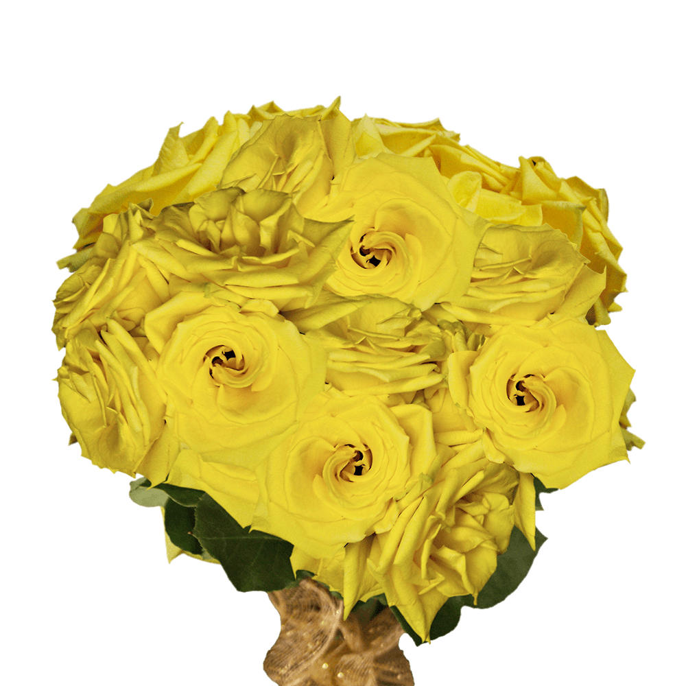Cheap Yellow Roses For Sale Online Florist Huge Bouquet of Roses