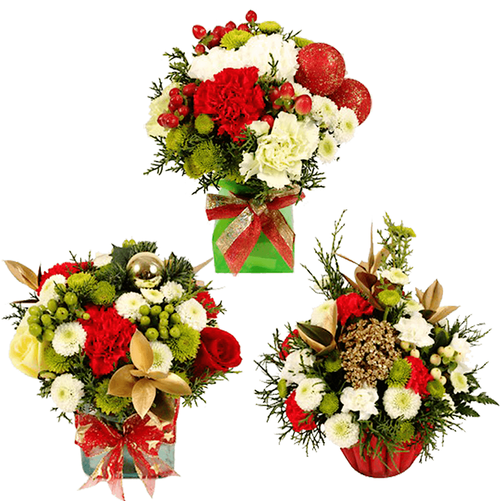 (DUO) Christmas Holiday Combination I 3 Arragements with Vase For Delivery to Fort_Worth, Texas