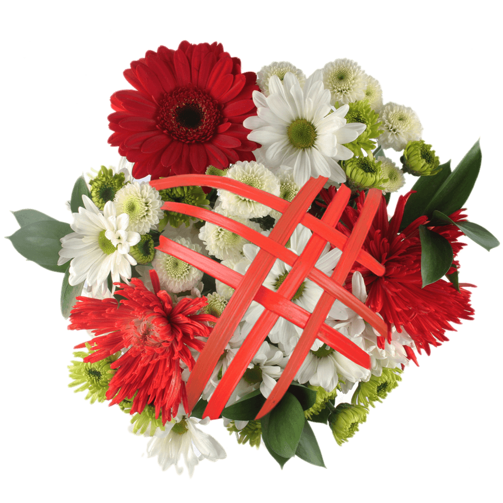 Christmas Day Flowers White Red Green Flower Bouquets