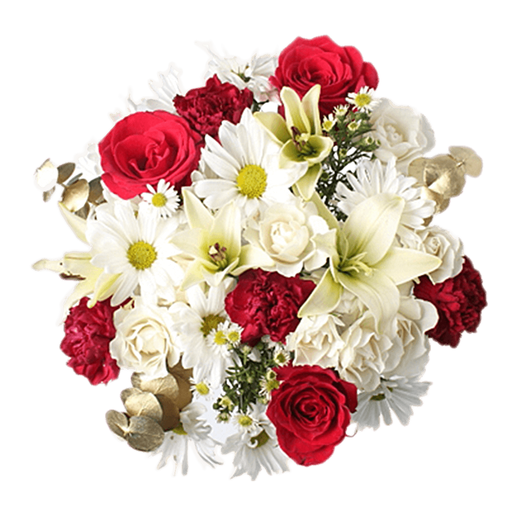 Christmas Florals Wholesale White Aster Red Roses with Greenery
