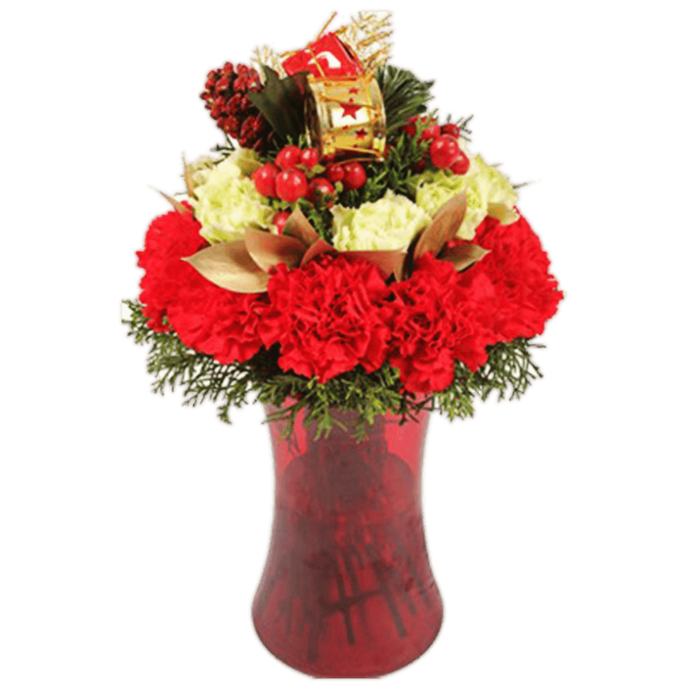 Christmas Flowers For Online Sale