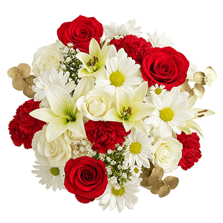 5 Truly Christmas Dream Bouquets