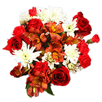 (QB) Christmas Bqt Happy Holidays 8 Bouquets For Delivery to Stony_Brook, New_York