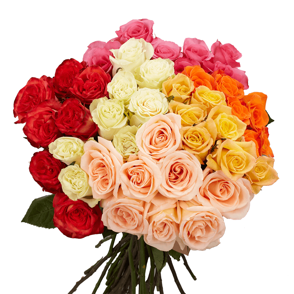 Qty of Assorted Color Roses For Delivery to Kapolei, Hawaii