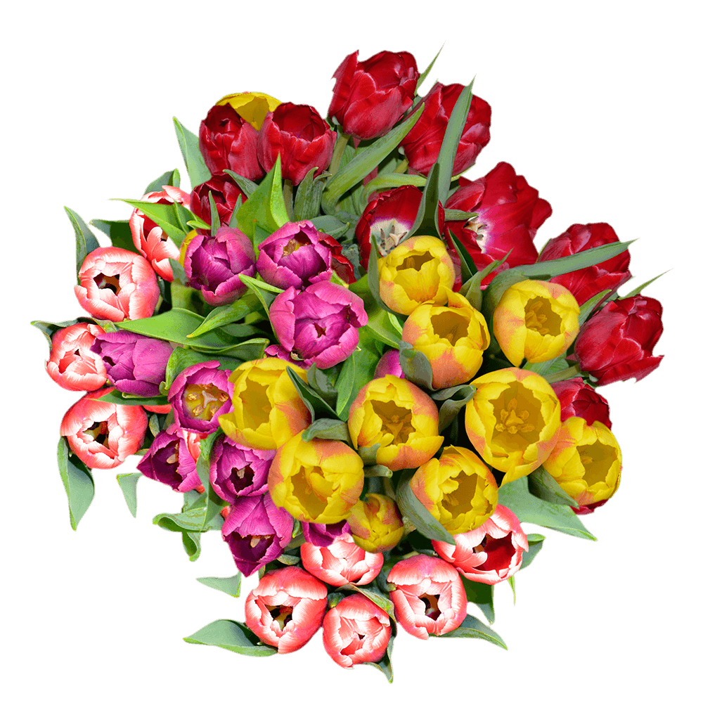 Best Bouquets for Birthday - Assorted Tulip