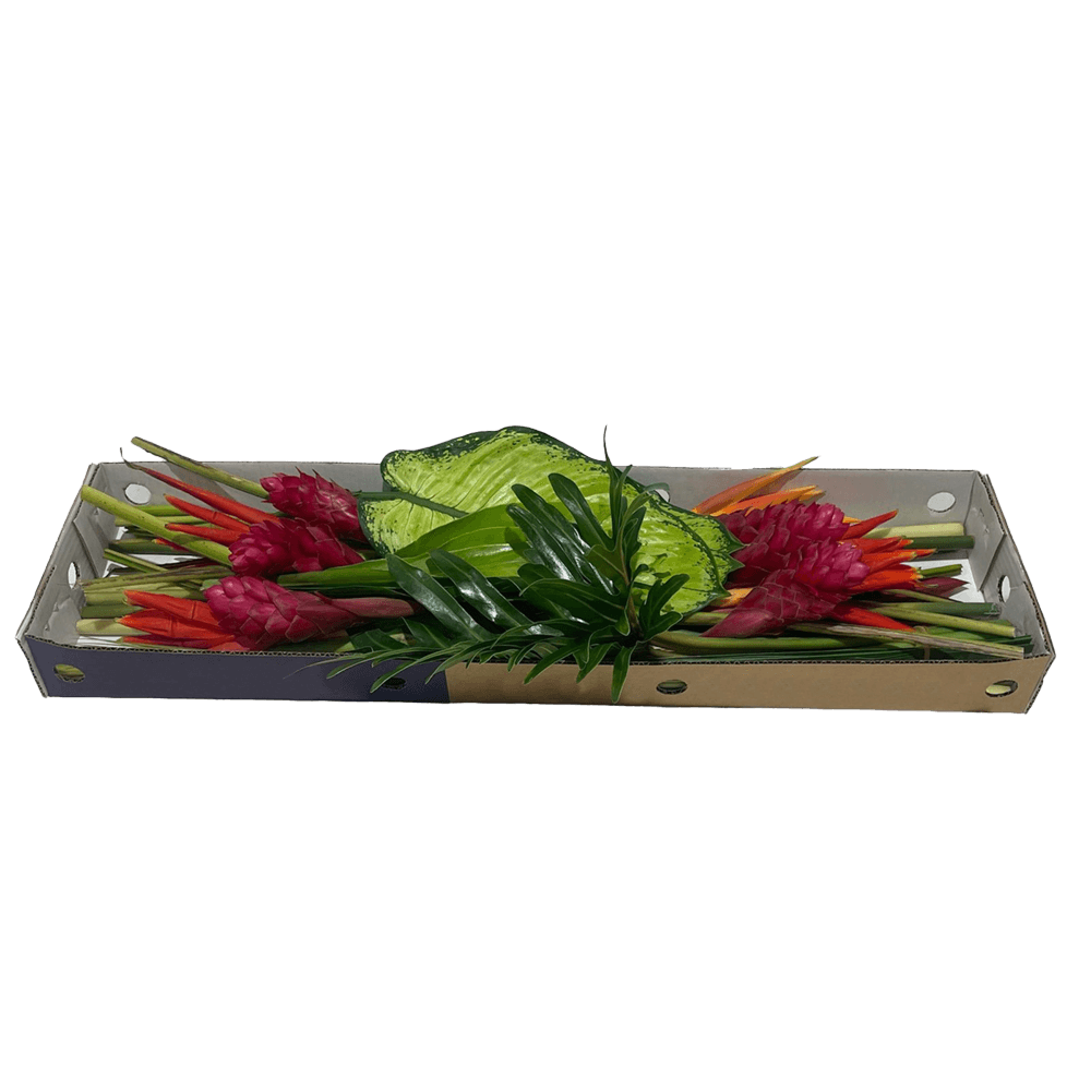 Combo Fire 51 Stems Bold Tropical Fresh Flowers Bouquet