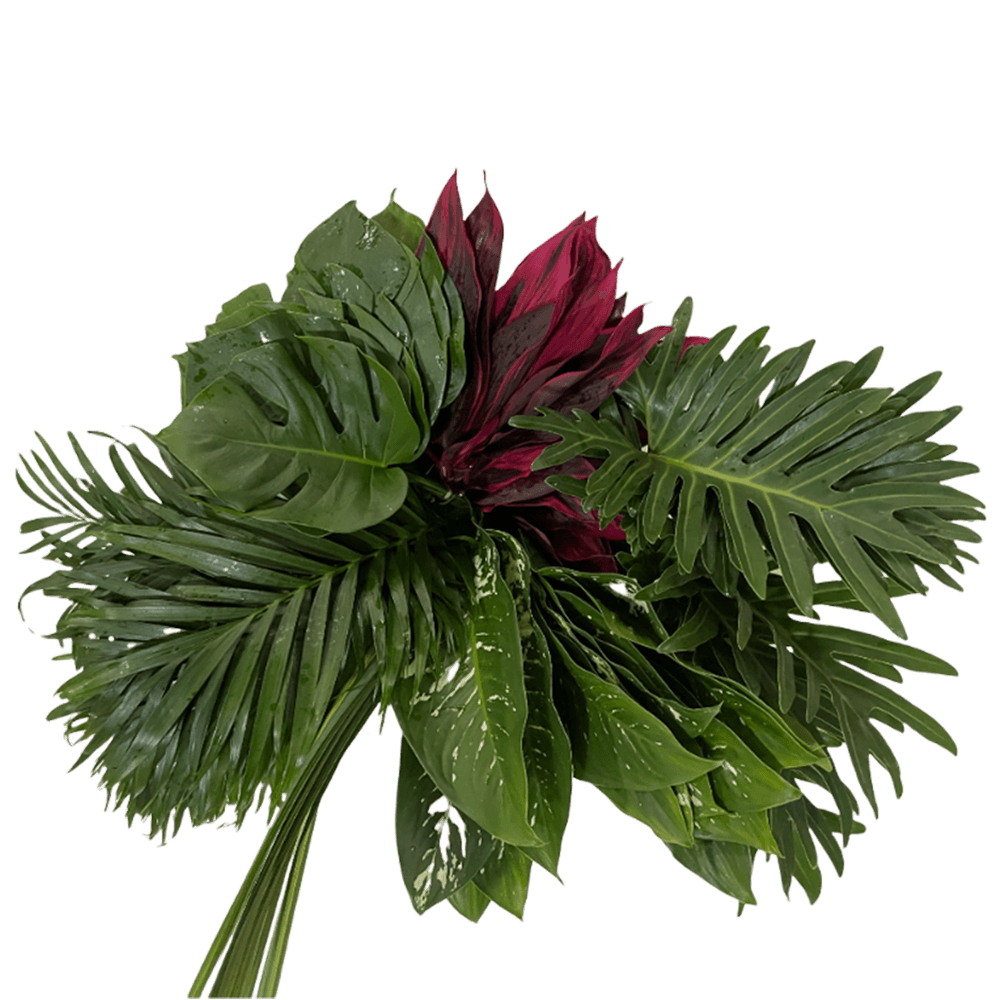 Combo Foliage Amazon 90 Stems Premium Tropical Greens for Bouquets