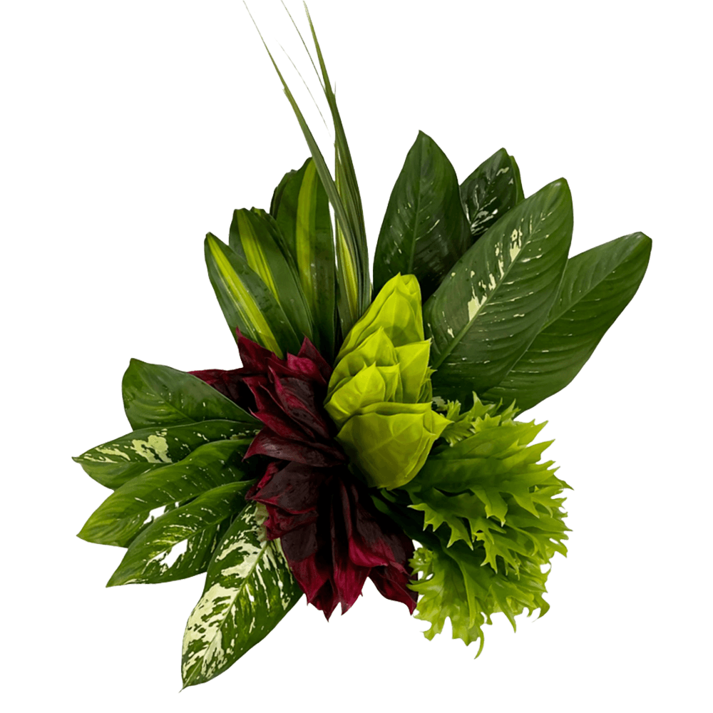 Combo Jungle Mix Tropical Flowers Online Delivery- 230 Stems