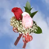 2-cr-roses-red-light-pink
