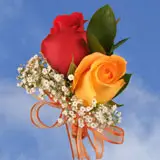 2-cr-roses-red-orange
