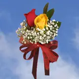 2-cr-roses-yellow-red