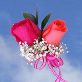 2-cr-roses-dark-pink-light-orange