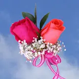 2-cr-roses-dark-pink-light-orange