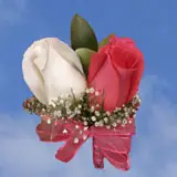 2-cr-roses-dark-pink-white