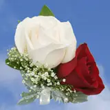 2-cr-roses-red-white