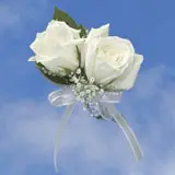 2-cr-rose-ivory