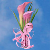 2-cr-minicalla-light-pink