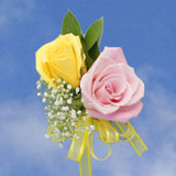 2-cr-roses-yellow-light-pink