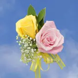 2-cr-roses-yellow-light-pink