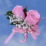 2-cr-roses-light-pink