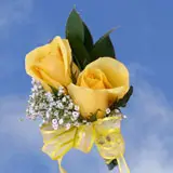2-cr-roses-yellow