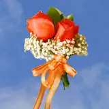 2-cr-rose-assorted