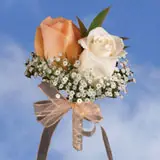 2-cr-roses-cream-orange