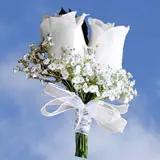 2-cr-roses-white