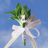 2-cr-star-of-bethlehem