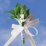 2-cr-star-of-bethlehem