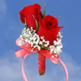 2-cr-roses-red