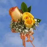 2-cr-roses-terracota-yellow