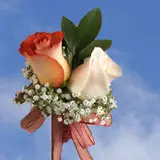 2-cr-roses-terracota-white