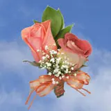 2-cr-roses-terracota-orange