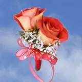 2-cr-roses-terracota