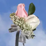 2-cr-roses-light-pink-peach