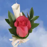 2-cr-rose-call-and-rose-dark-pink