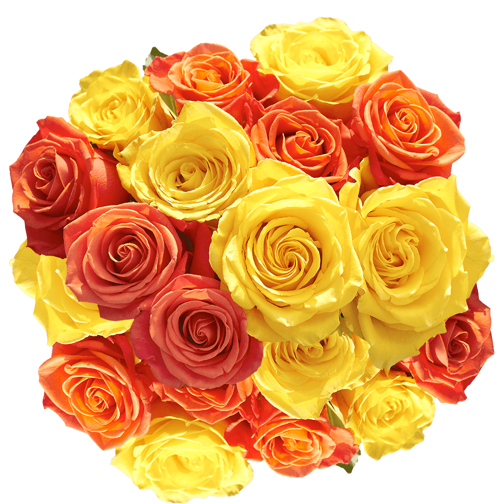 Cut Roses Yellow and Orange Flowers for Sale