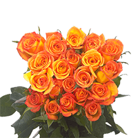 (OC) Roses Sht Amber 2 Bunches For Delivery to San_Ramon, California