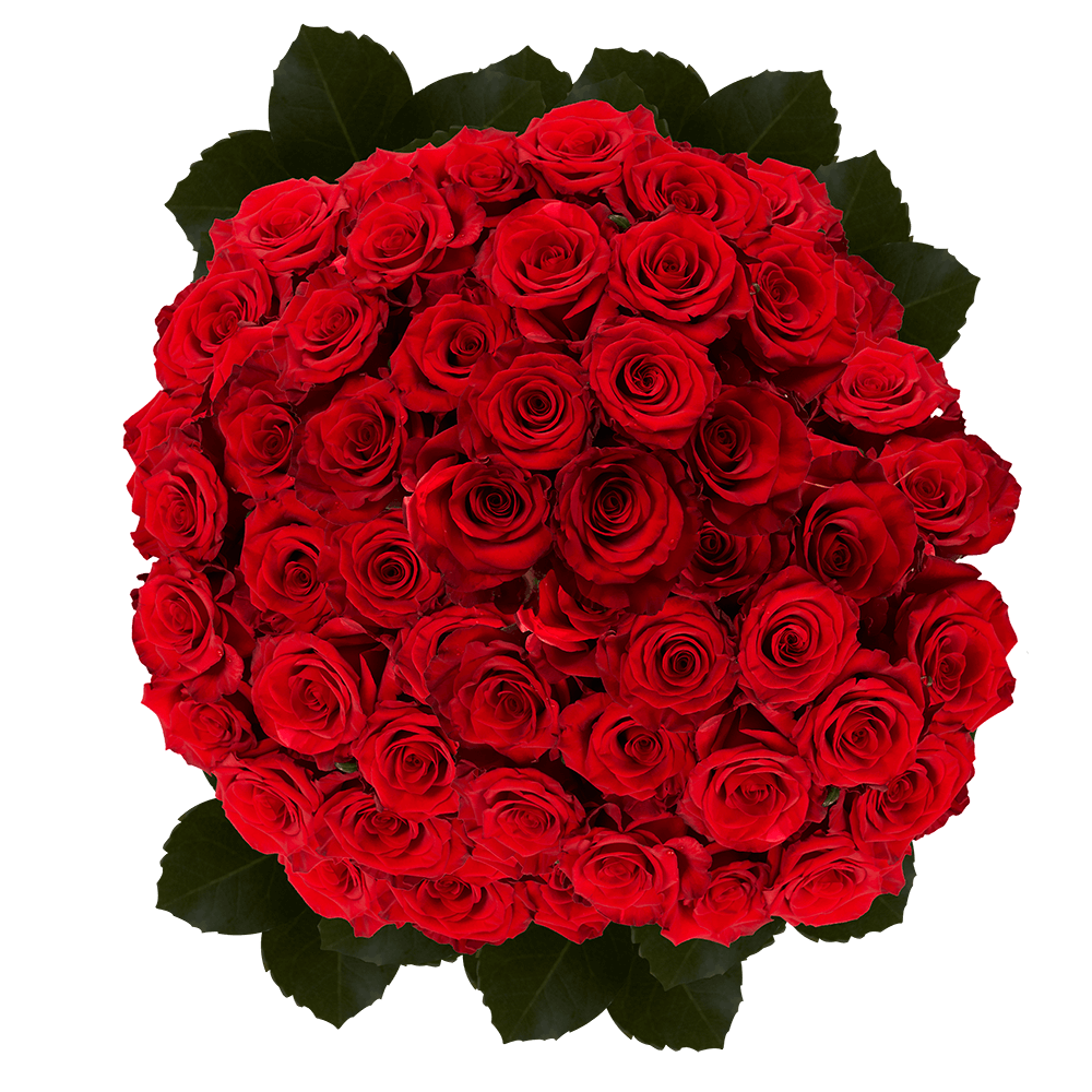 Dark Red Roses Florist