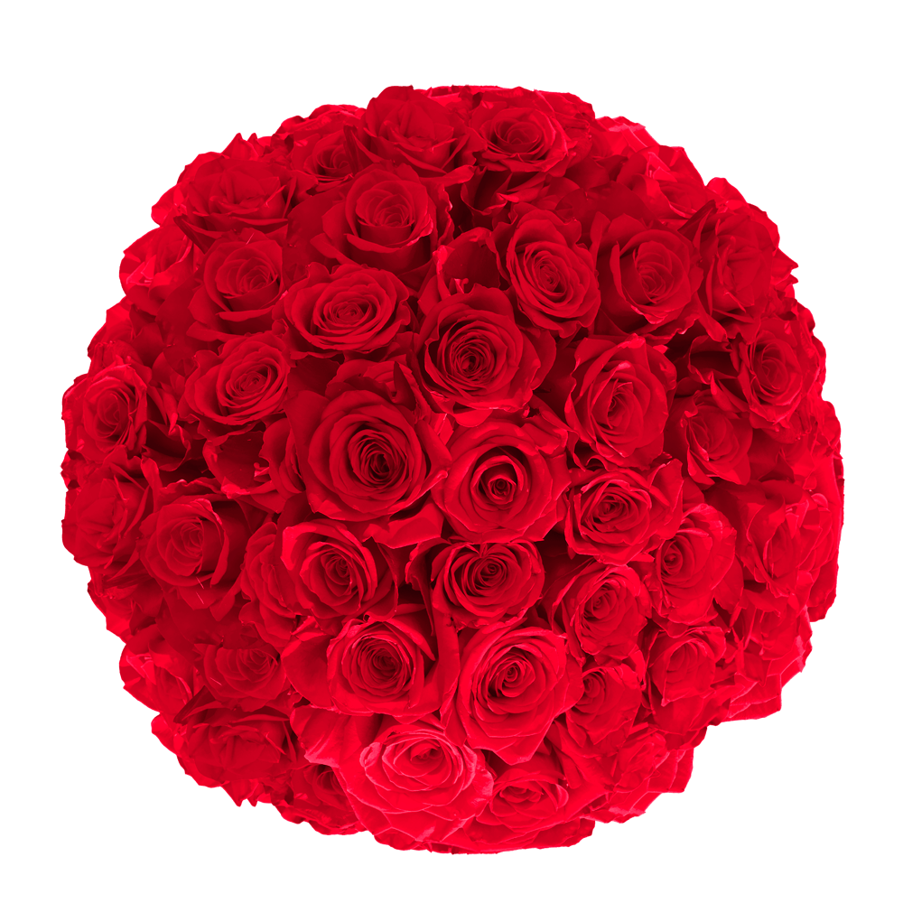 Dark Red Roses Online