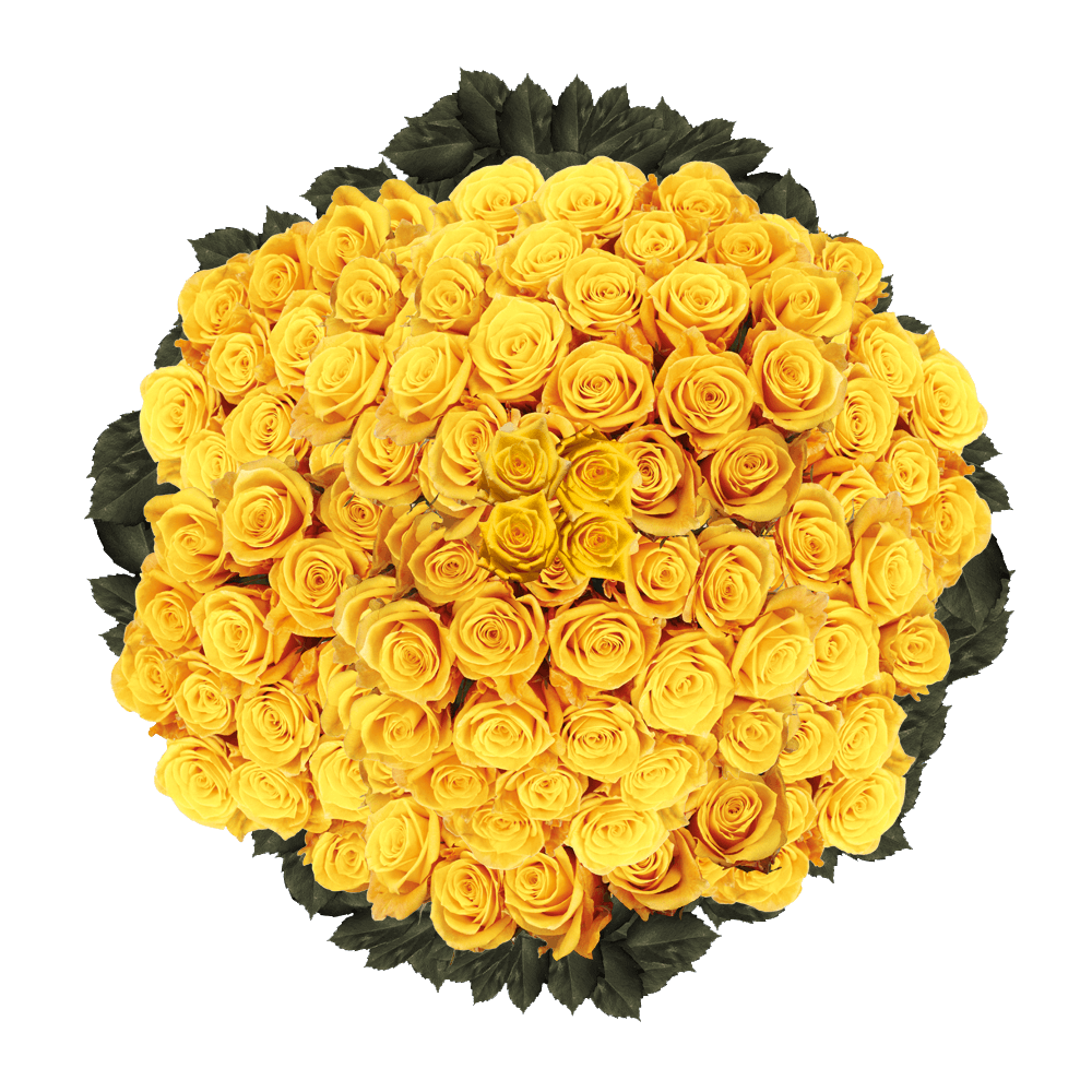 Dark Yellow Discounted Roses