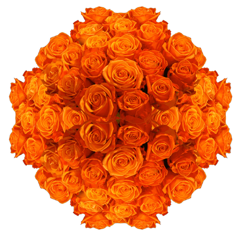 Discounted Bright Orange Roses