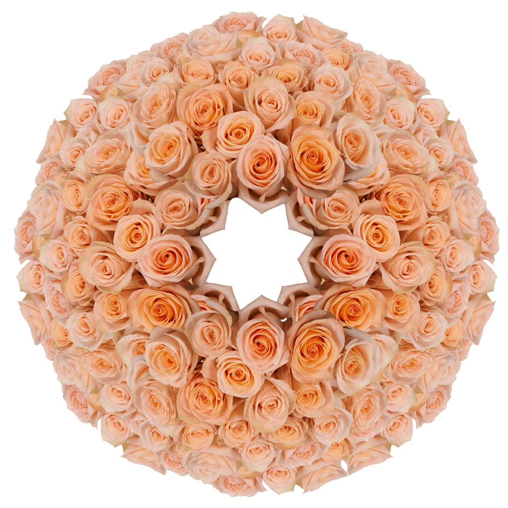 Discounted Peachy Pink Roses