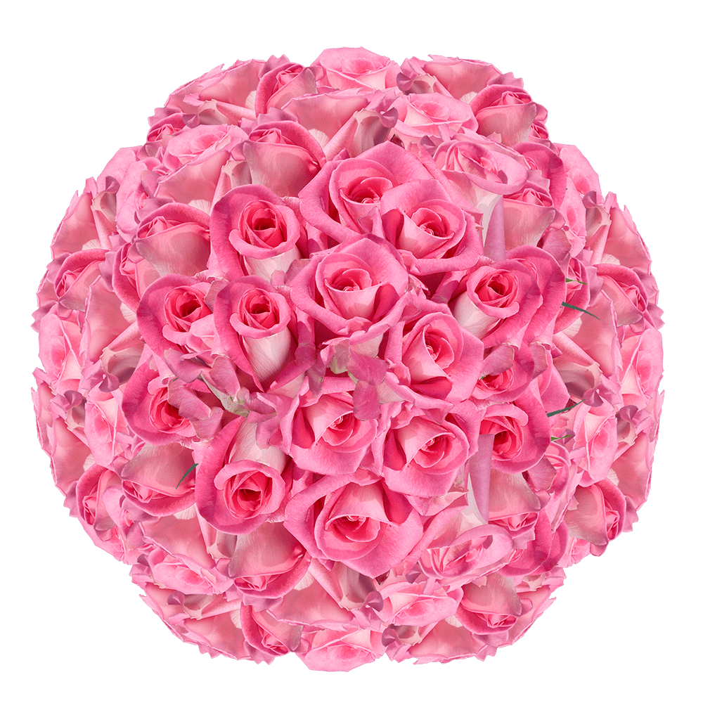 Discounted Pink Roses