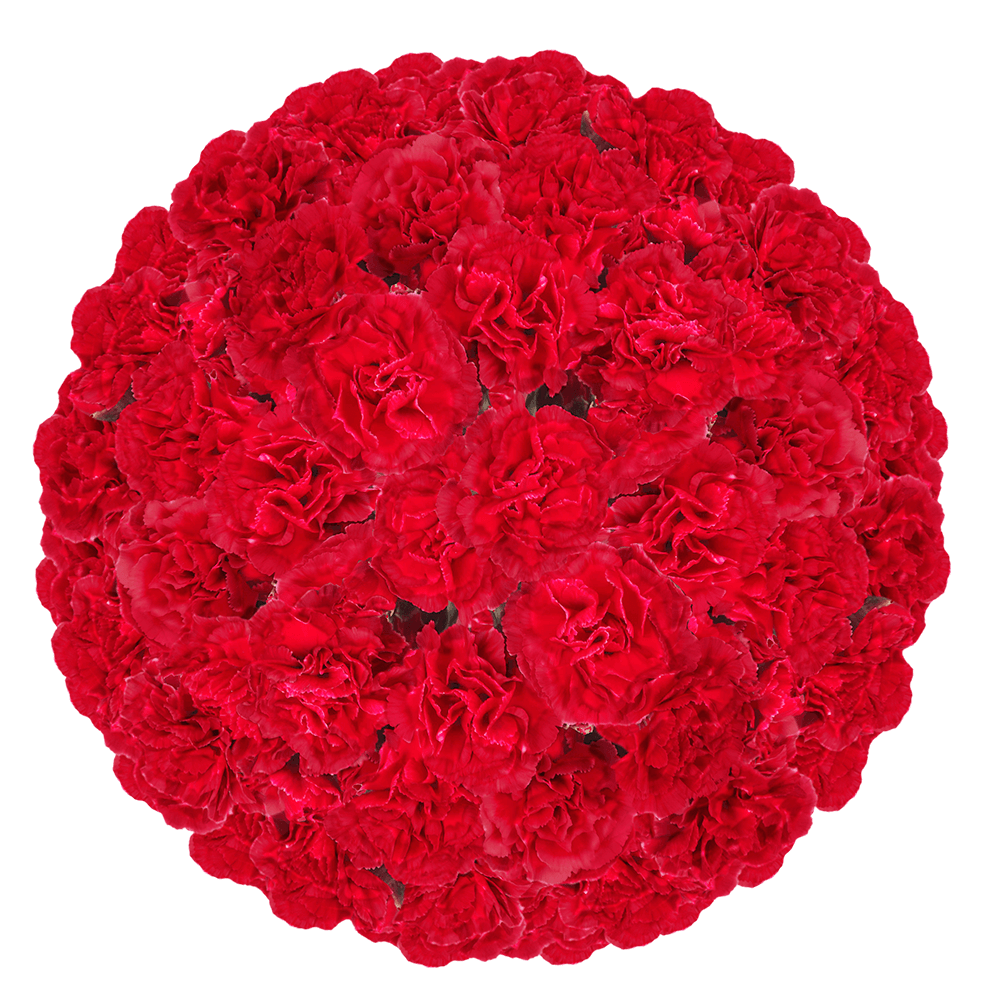 Discounted Red Mini Carnations