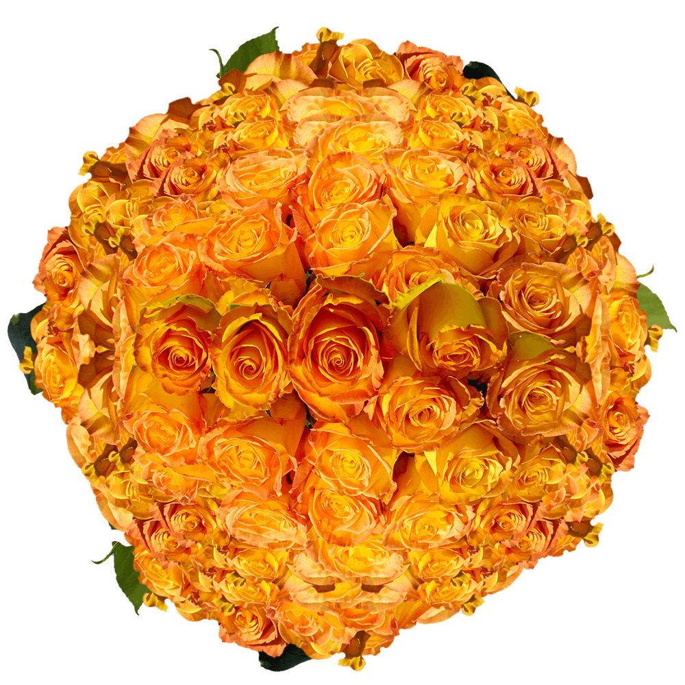 Discounted Yellow Roses with Orange Tips