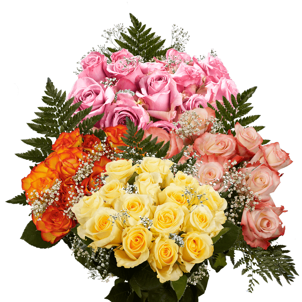 Discounted Your Choice of Dozen Color Roses with Fillers