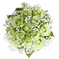 (OC) Roses Sht Dozen green X 1 Bunch For Delivery to Auburn, Alabama